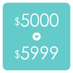 $5000~$9999