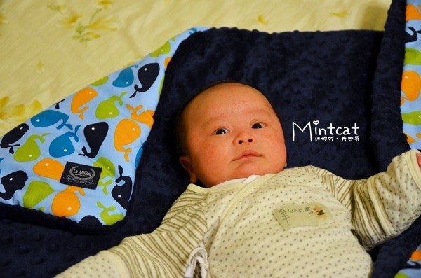 嬰兒用品,寶寶毯